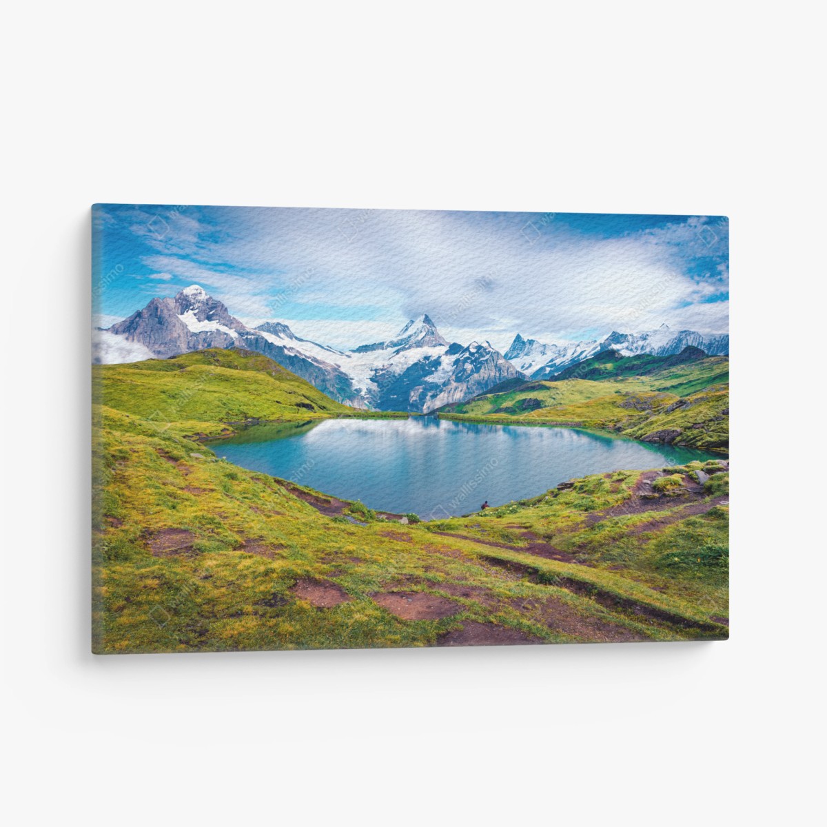 Quadro su tela panorama del lago Bachalpsee e del Schreckhorn • Wallissimo®