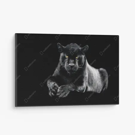 Quadro su tela sguardo maestoso della pantera nera • Wallissimo®