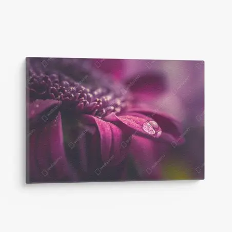 Quadro su tela dettaglio di petalo con goccia di rugiada • Wallissimo®