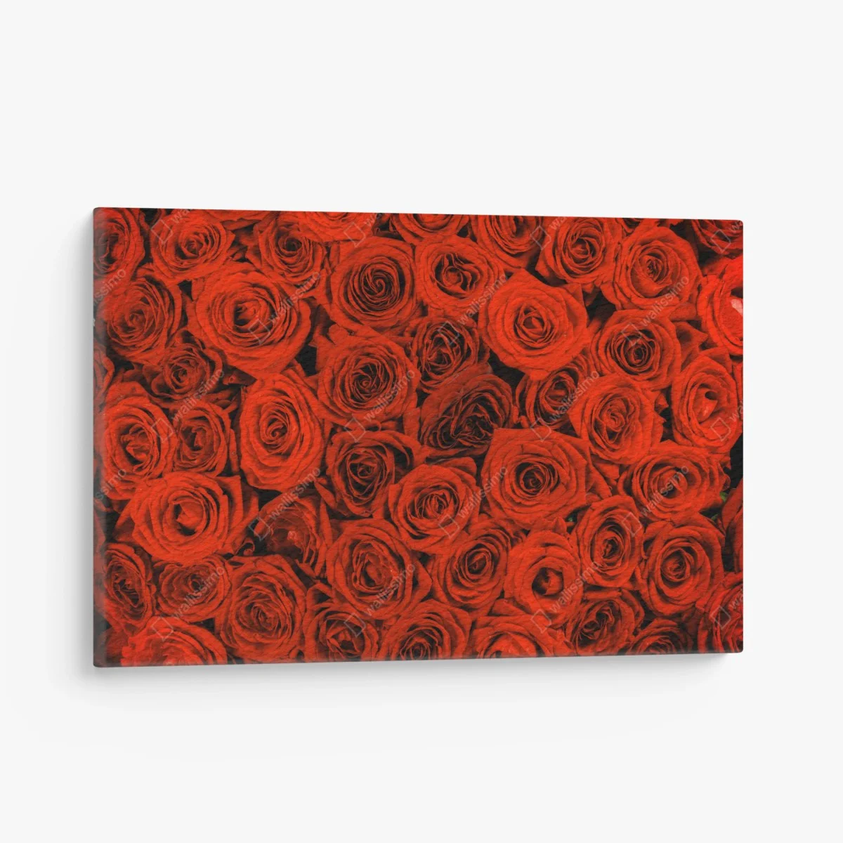 Quadro su tela sinfonia di rose rosse • Wallissimo® Quadro su tela sinfonia di rose rosse • Wallissimo®