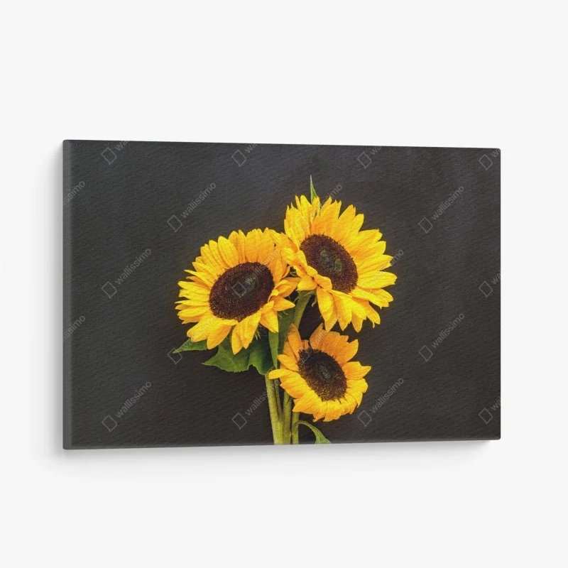 Quadro su tela girasoli su sfondo scuro