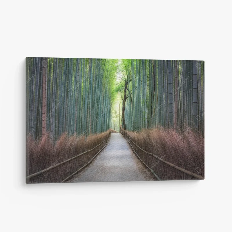 Quadro su tela viale nella foresta di bambù