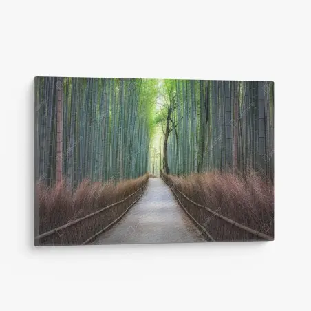 Quadro su tela viale nella foresta di bambù • Wallissimo®