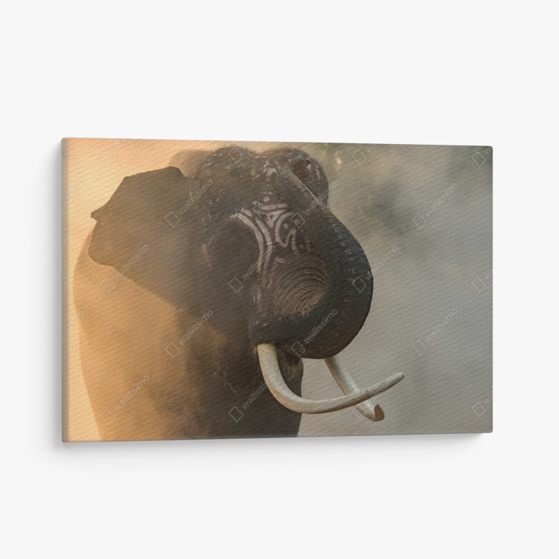 Quadro su tela ritratto maestoso dell'elefante Plai Arm da Surin, Thailandia