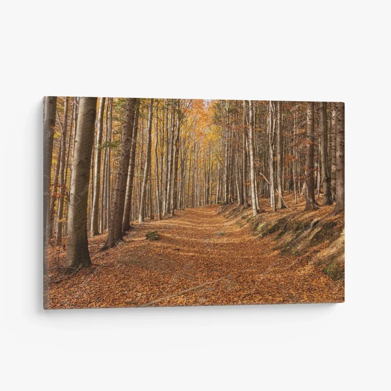 Quadro su tela sentiero d'autunno nel bosco dorato