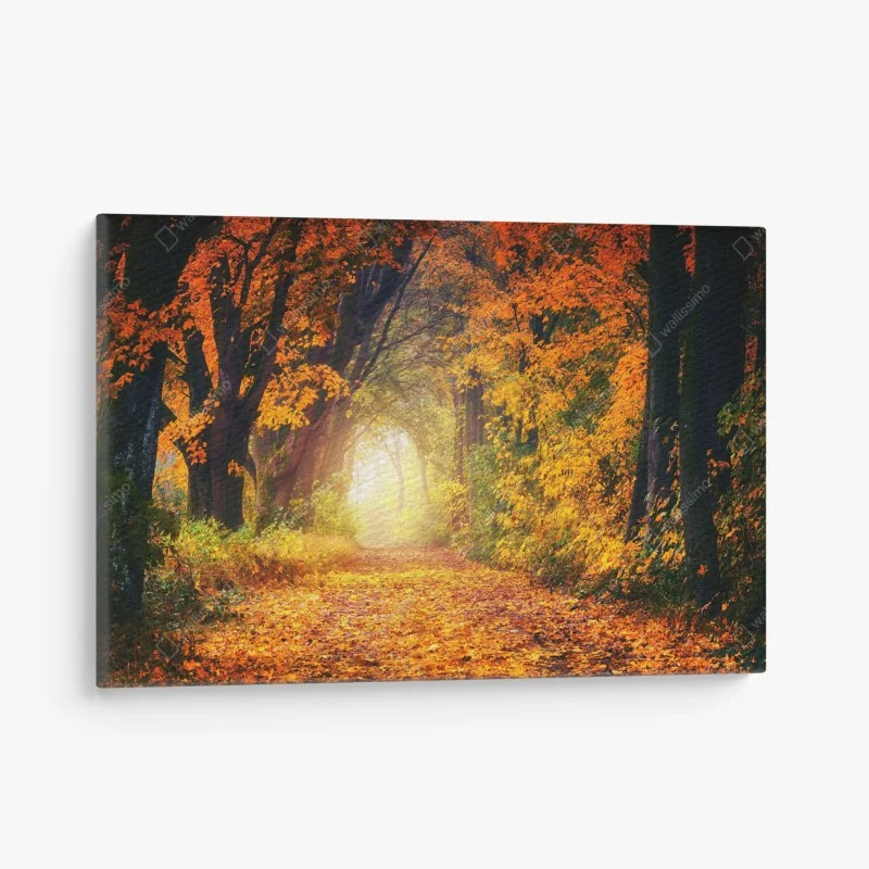 Quadro su tela incantevole sentiero d'autunno