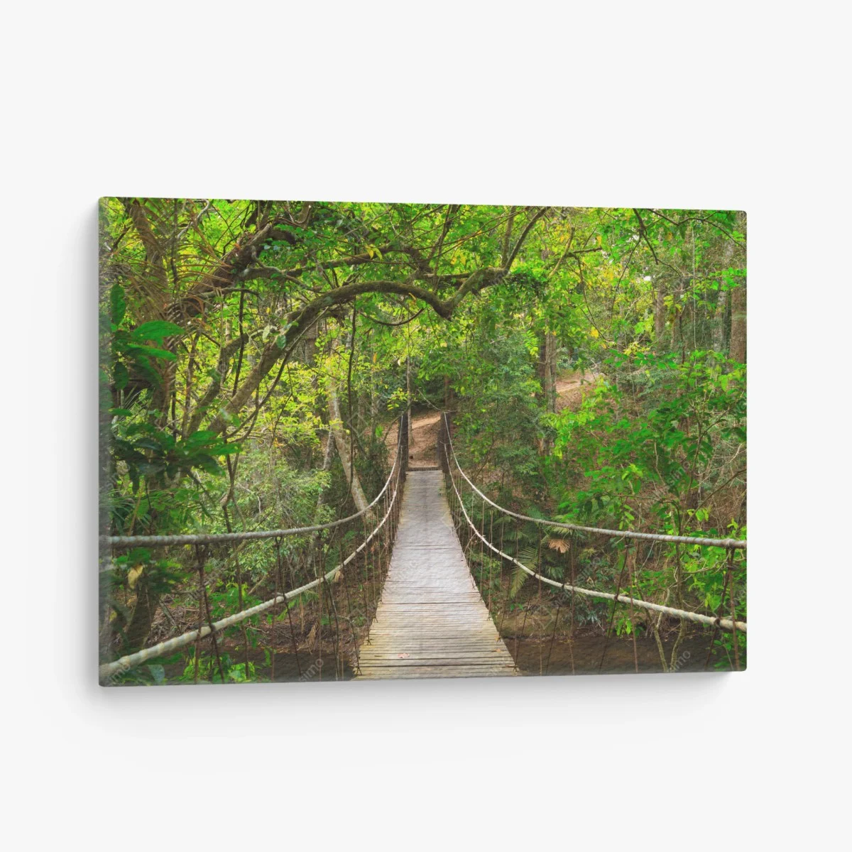 Quadro su tela ponte sospeso nella foresta lussureggiante • Wallissimo® Quadro su tela ponte sospeso nella foresta lussureggiante • Wallissimo®
