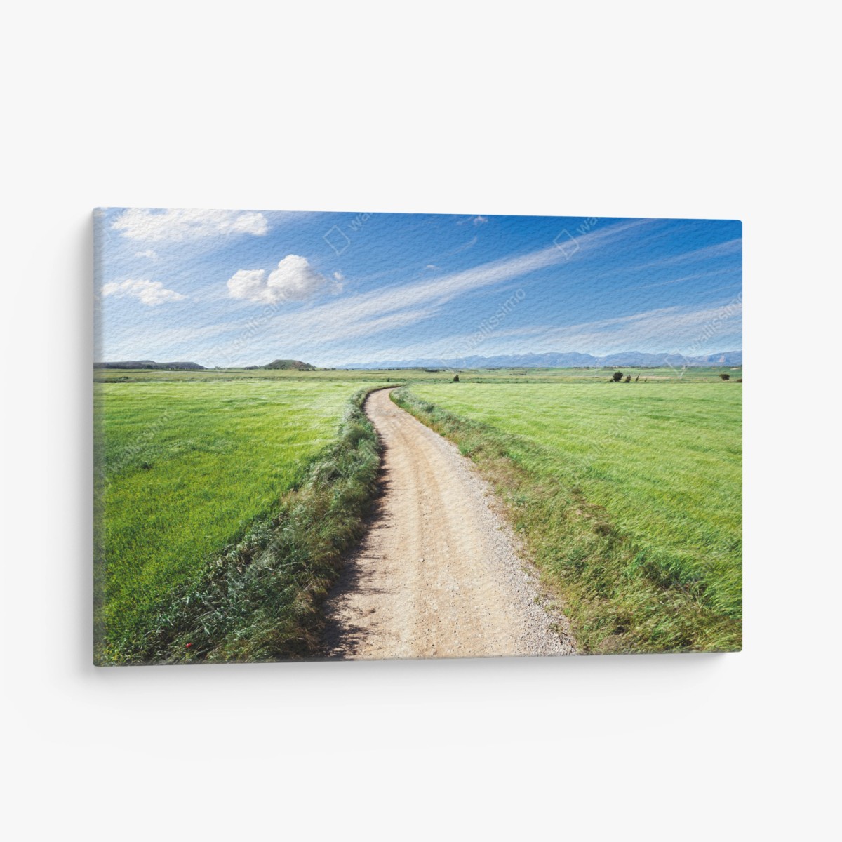Quadro su tela sentiero tra i campi verdi • Wallissimo®
