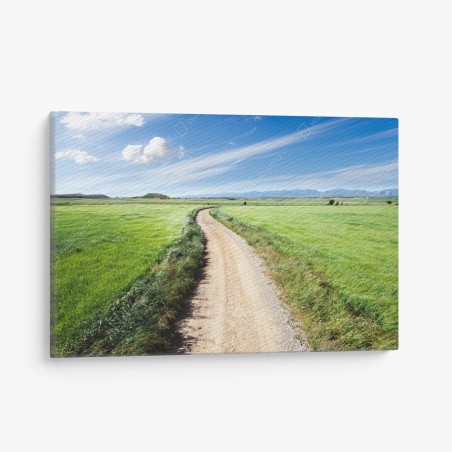 Quadro su tela sentiero tra i campi verdi • Wallissimo®