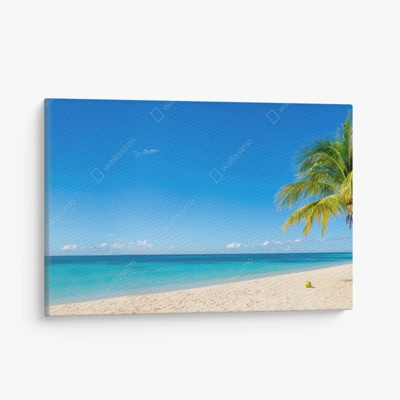 Quadro su tela paradiso tropicale con palma e mare turchese