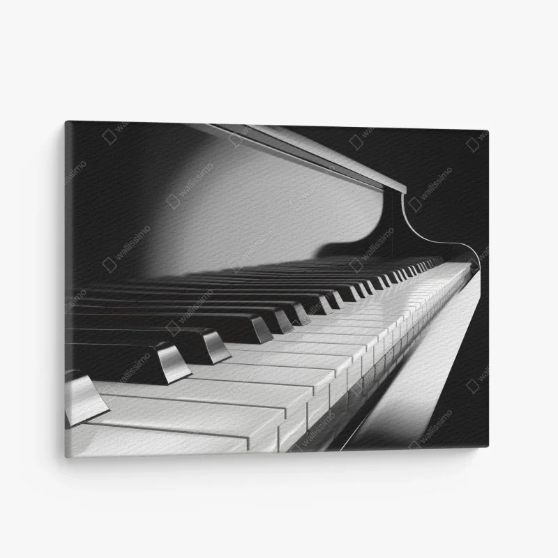 Quadro su tela eleganza in bianco e nero: tastiera di pianoforte