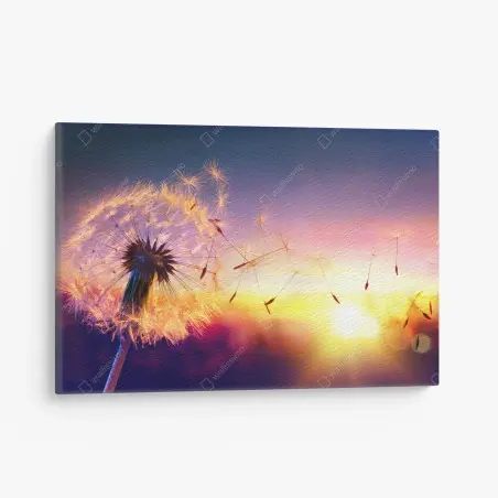Quadro su tela soffione dorato al tramonto • Wallissimo®