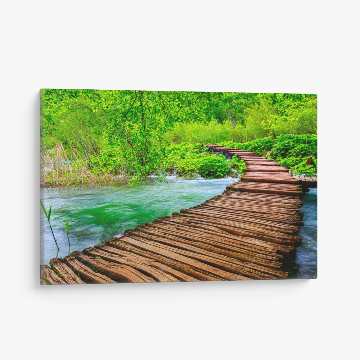 Quadro su tela passerella di legno in mezzo al verde • Wallissimo®
