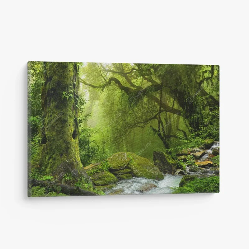Quadro su tela foresta incantata verdeggiante