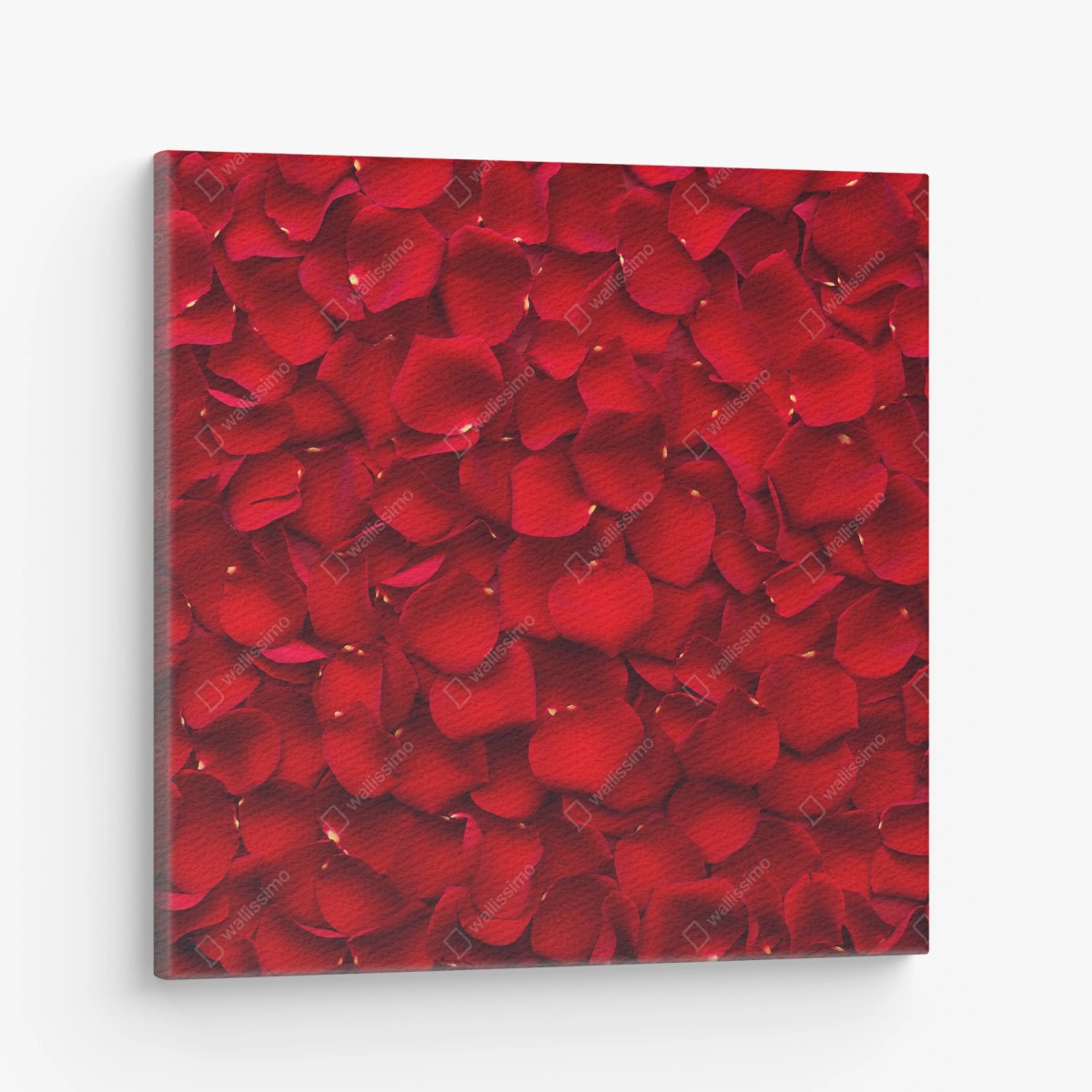 Quadro su tela mosaico di petali di rosa rossa • Wallissimo®