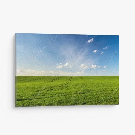 Quadro su tela panorama primaverile campo di grano verde • Wallissimo®
