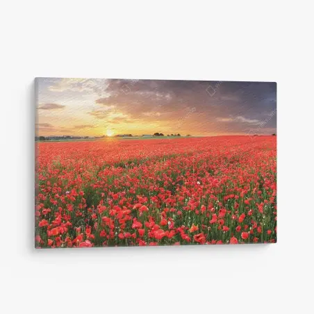 Quadro su tela tramonto sul campo di papaveri • Wallissimo®