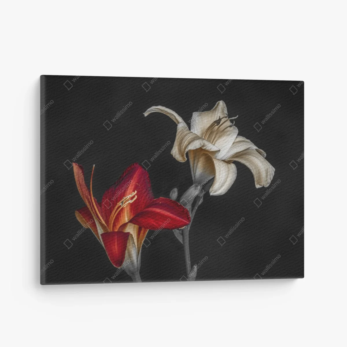 Quadro su tela gigli in contrasto rosso e crema • Wallissimo® Quadro su tela gigli in contrasto rosso e crema • Wallissimo®