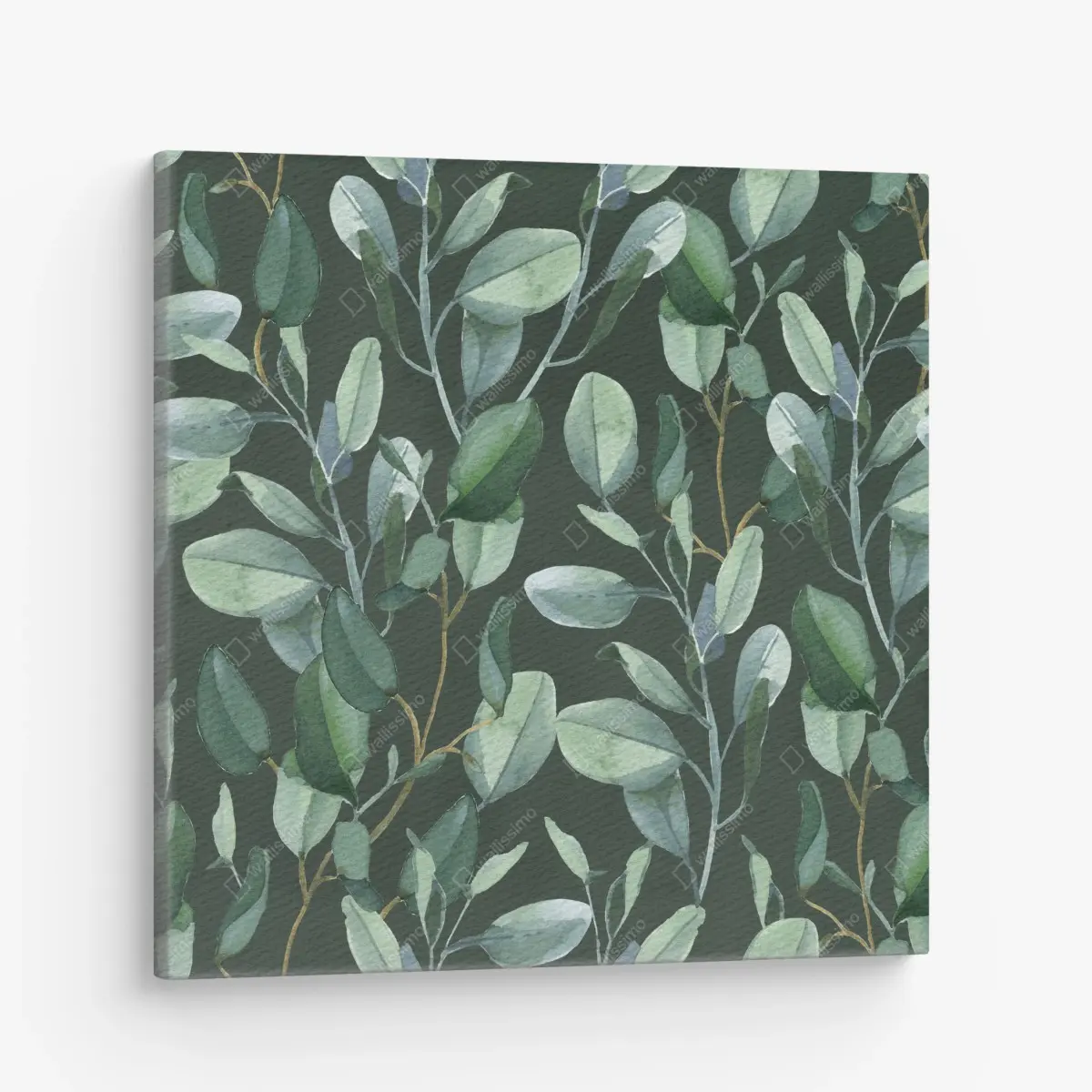 Quadro su tela motivo botanico di eucalipto su fondo verde scuro • Wallissimo®