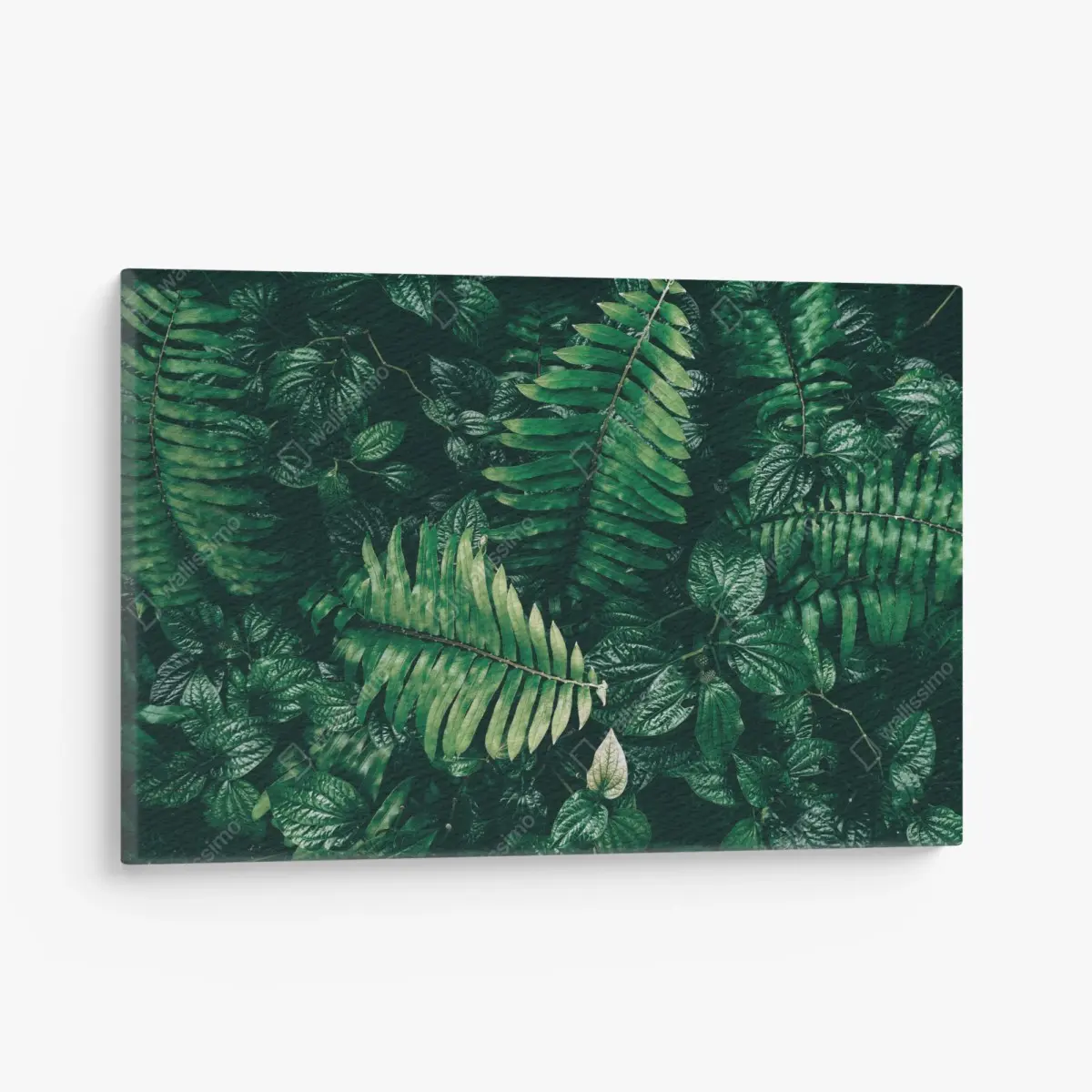 Quadro su tela giungla verticale: fogliame tropicale in verde scuro • Wallissimo®