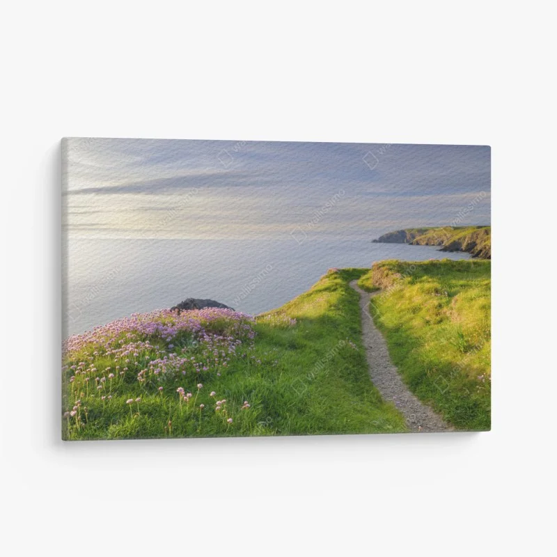 Quadro su tela sentiero al tramonto a Ceibwr Bay