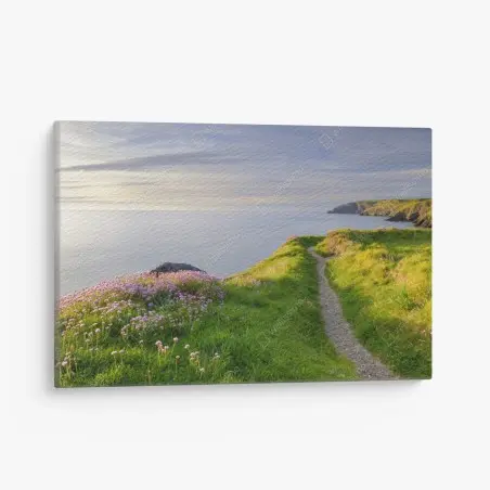 Quadro su tela sentiero al tramonto a Ceibwr Bay • Wallissimo®
