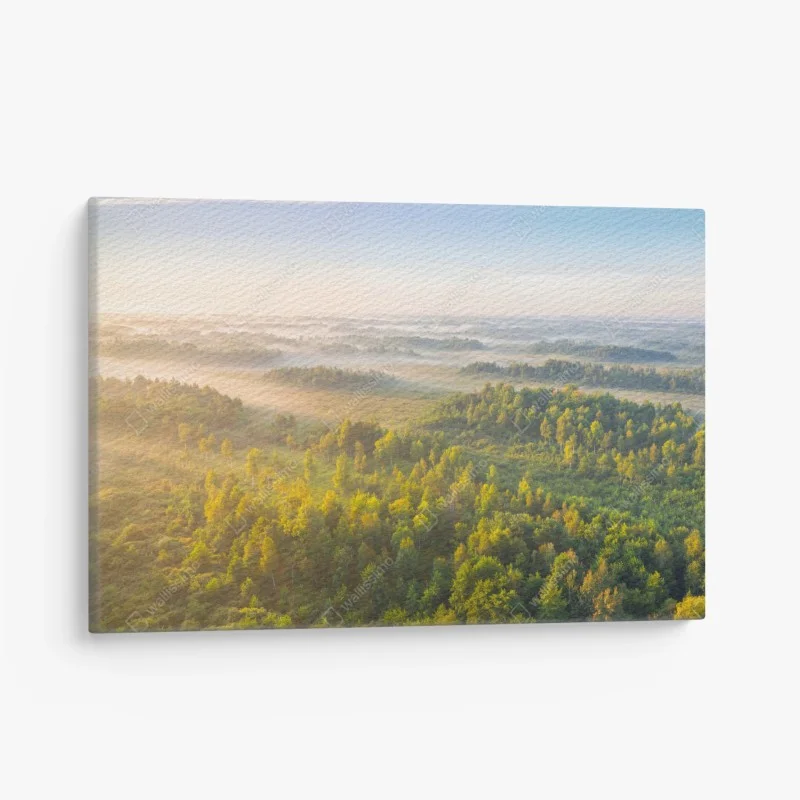 Quadro su tela nebbiosa mattina alla torbiera di Zvanets, Bielorussia