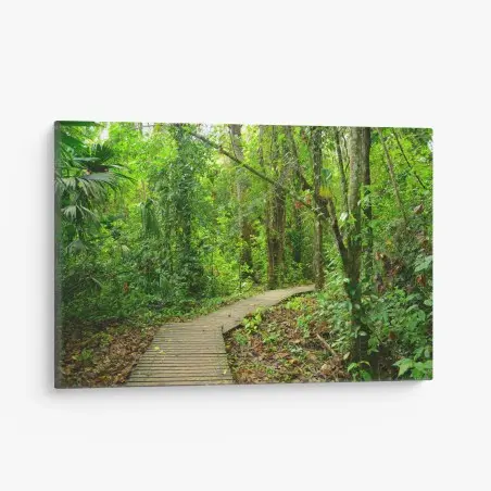 Quadro su tela sentiero nella foresta pluviale • Wallissimo®