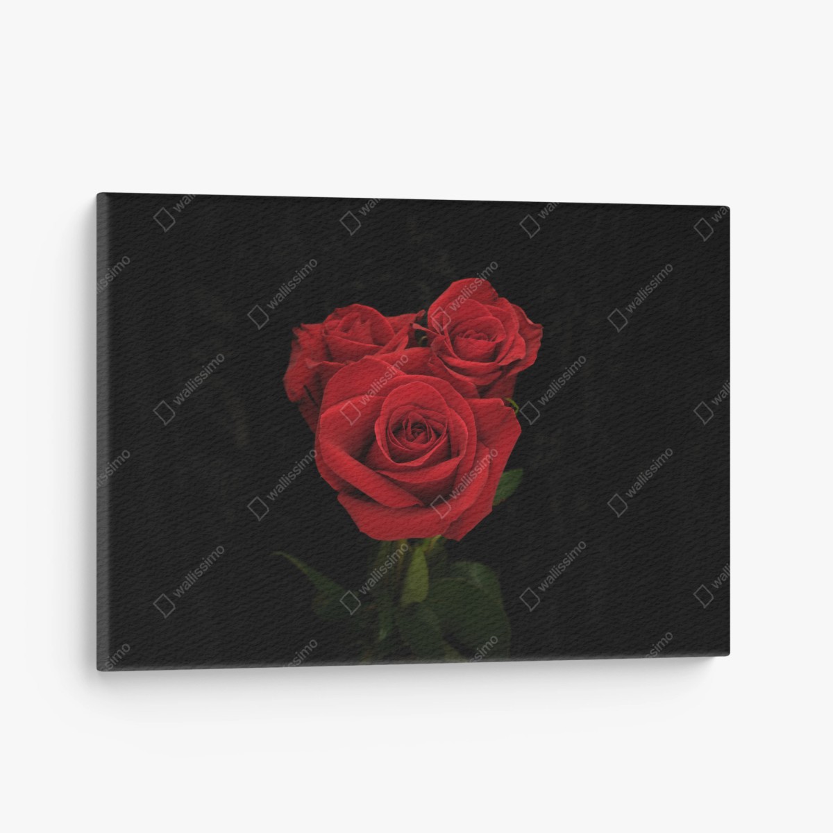 Quadro su tela eleganza di rose rosse su sfondo nero • Wallissimo®