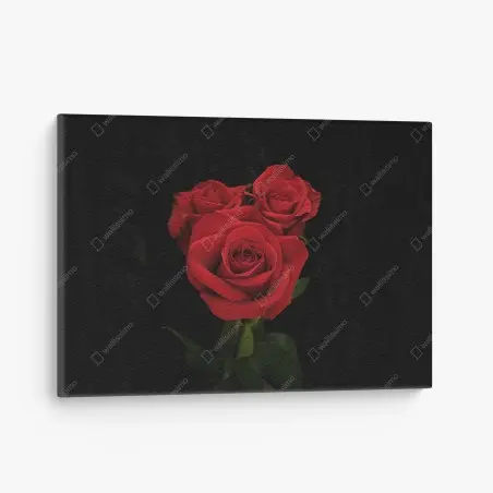 Quadro su tela eleganza di rose rosse su sfondo nero • Wallissimo®