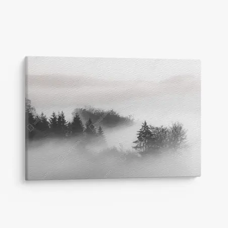 Quadro su tela foresta nella nebbia al mattino • Wallissimo®