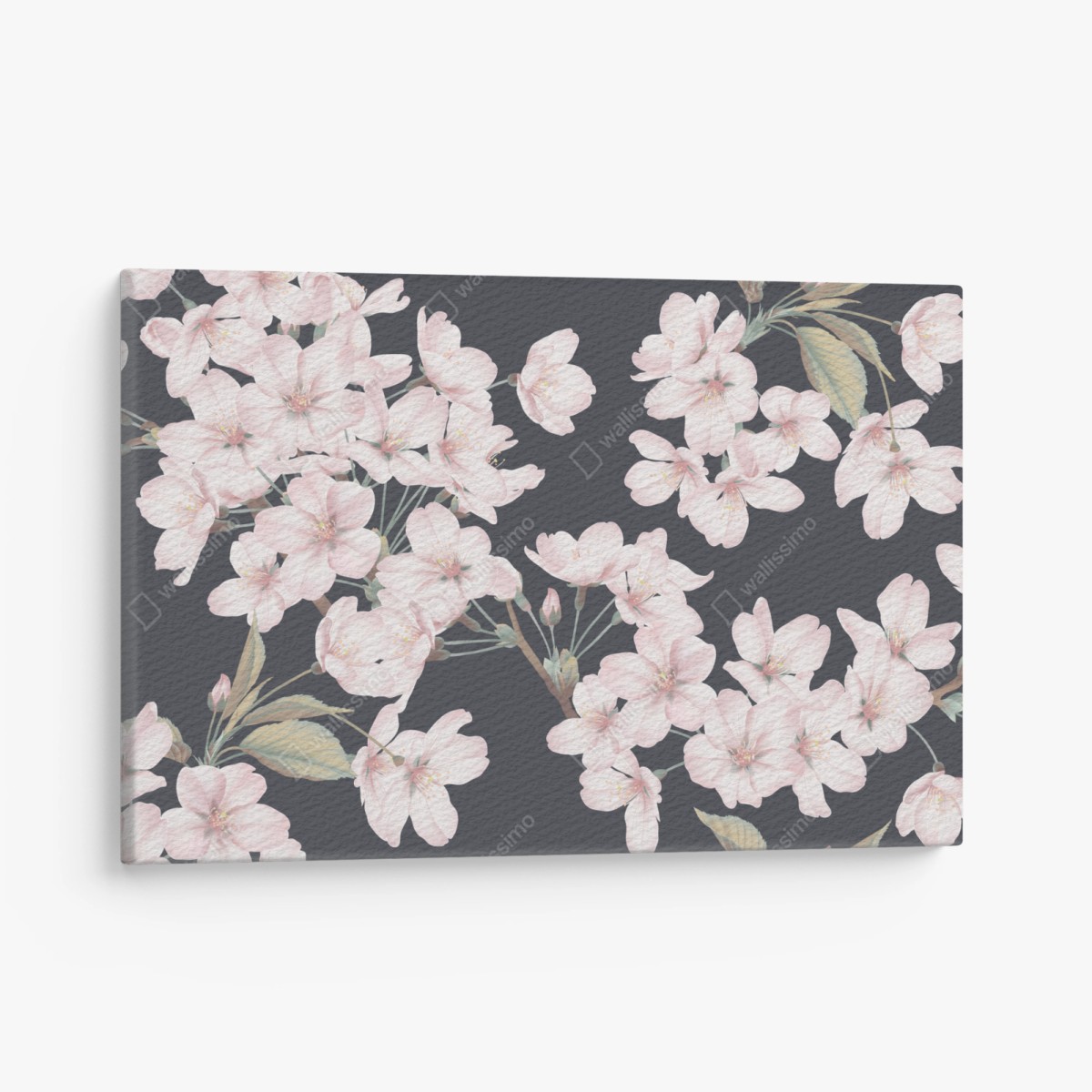 Quadro su tela rami di ciliegio in fiore su sfondo scuro • Wallissimo®