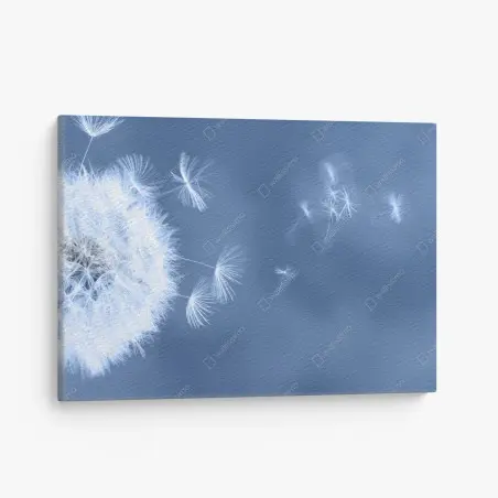 Quadro su tela soffione effimero su sfondo blu • Wallissimo®