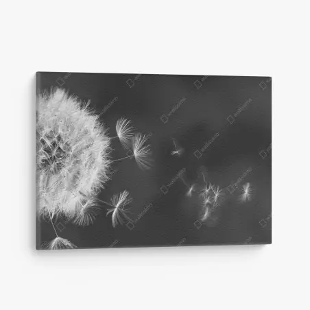 Quadro su tela soffione al vento, eleganza minimalista • Wallissimo®