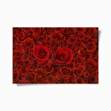 Poster mosaico di rose rosse • Wallissimo®