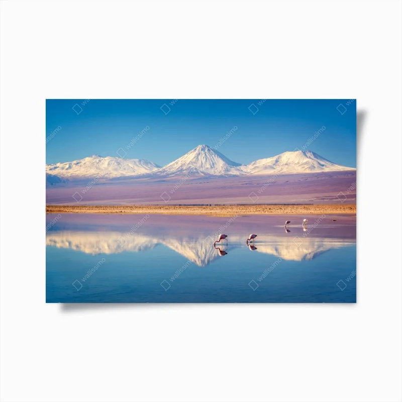Poster riflessi del Licancabur sulle acque della Laguna Chaxa