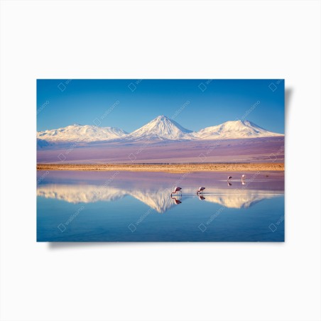 Poster riflessi del Licancabur sulle acque della Laguna Chaxa • Wallissimo®