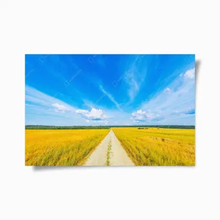 Poster strada nel campo dorato sotto un cielo infinito • Wallissimo®