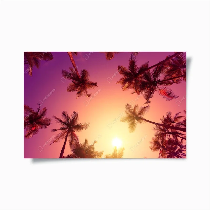Poster paesaggio tropicale al tramonto con palme
