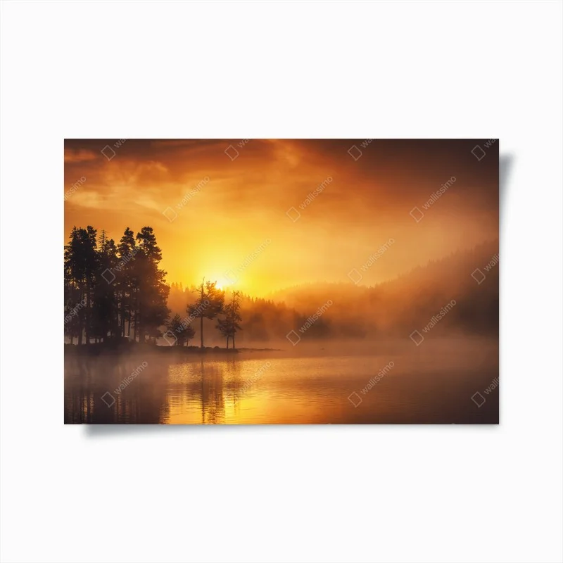 Poster alba dorata sul lago nebbioso