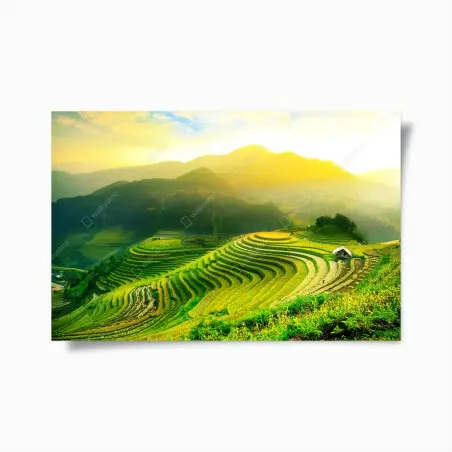 Poster risaie terrazzate all'alba • Wallissimo®