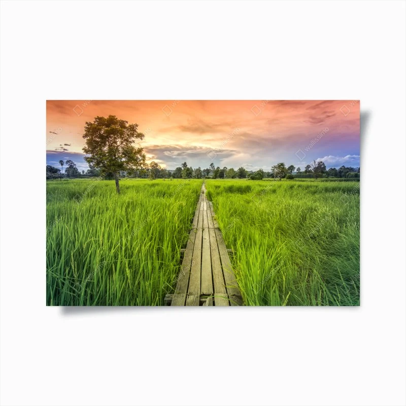 Poster passerella centenaria nei campi di riso a Khonburi