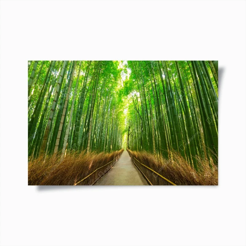 Poster viale di bambù ad Arashiyama, Kyoto