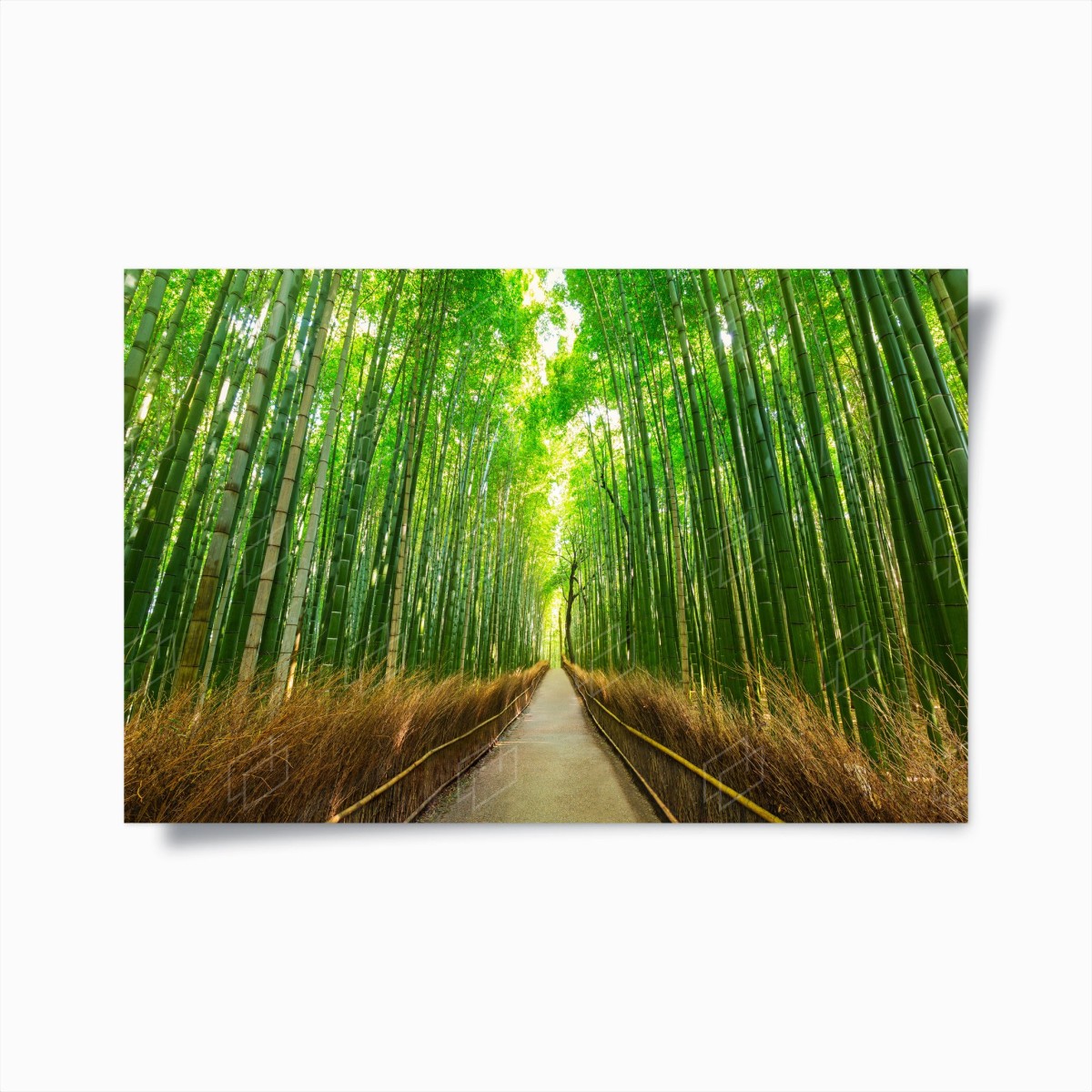 Poster viale di bambù ad Arashiyama, Kyoto • Wallissimo®