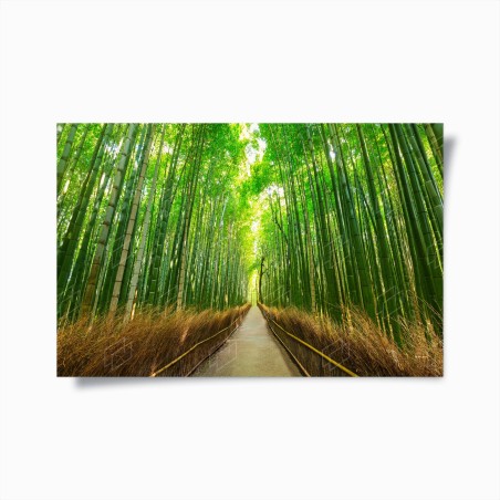 Poster viale di bambù ad Arashiyama, Kyoto • Wallissimo®