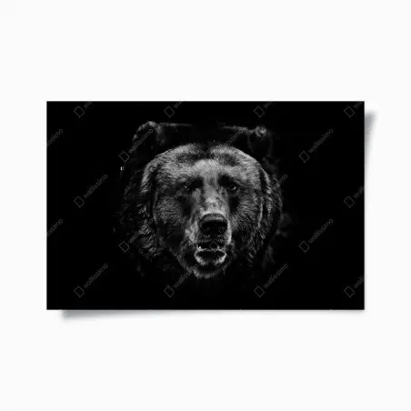 Poster sguardo profondo dell'orso • Wallissimo®