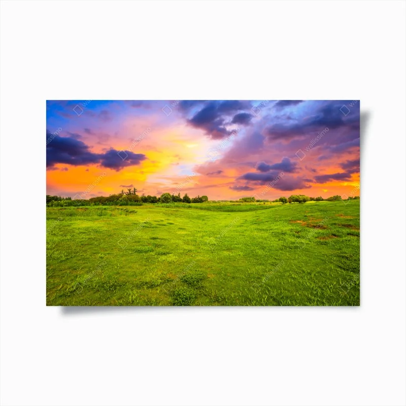 Poster tramonto sul prato verde