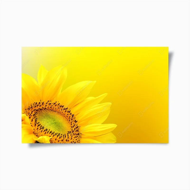 Poster girasole luminoso su sfondo giallo