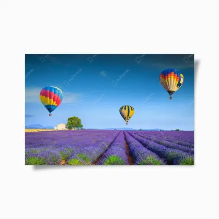 Poster sogno di lavanda a Valensole, Provenza • Wallissimo®