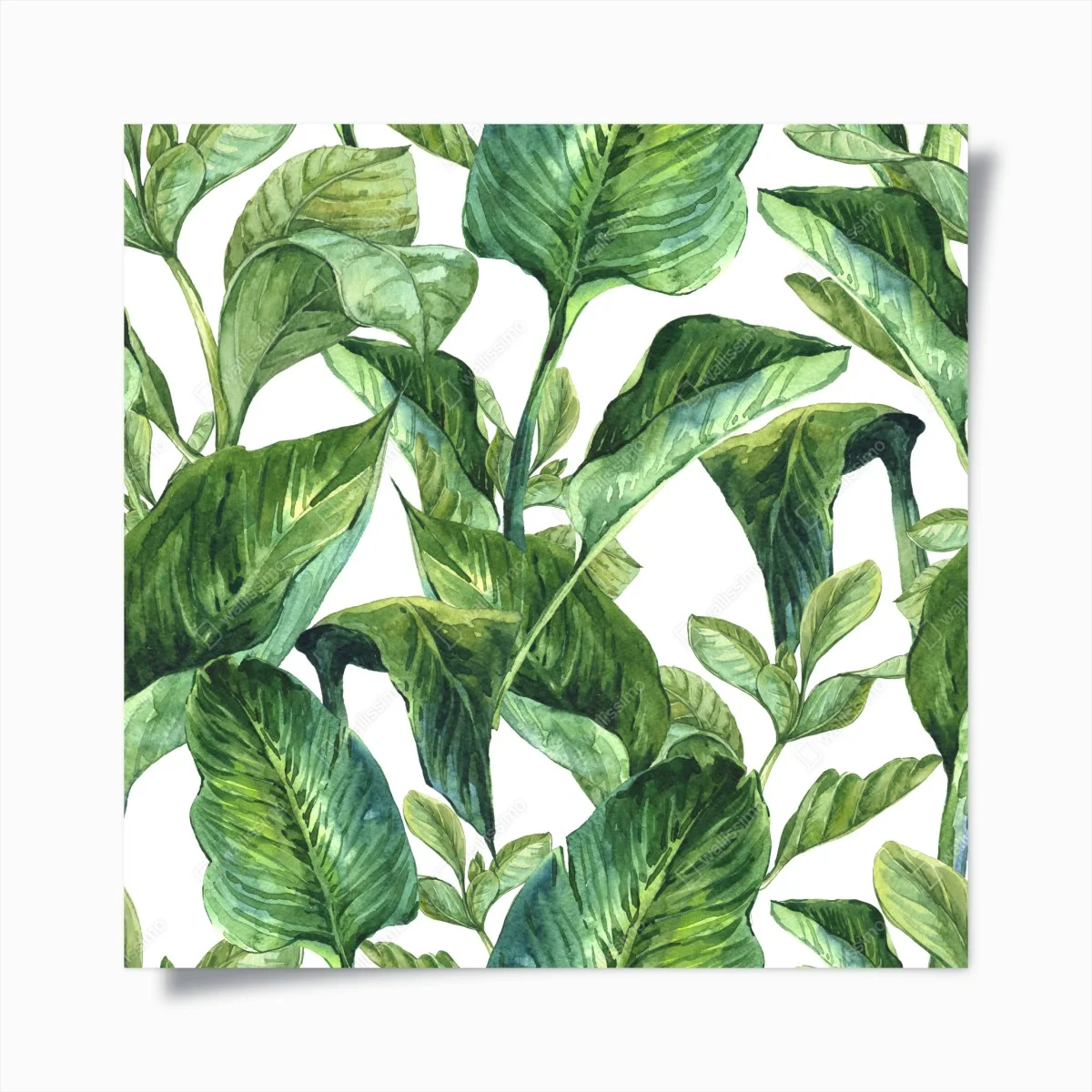 Poster motivo botanico di foglie tropicali in acquerello • Wallissimo® Poster motivo botanico di foglie tropicali in acquerello • Wallissimo®